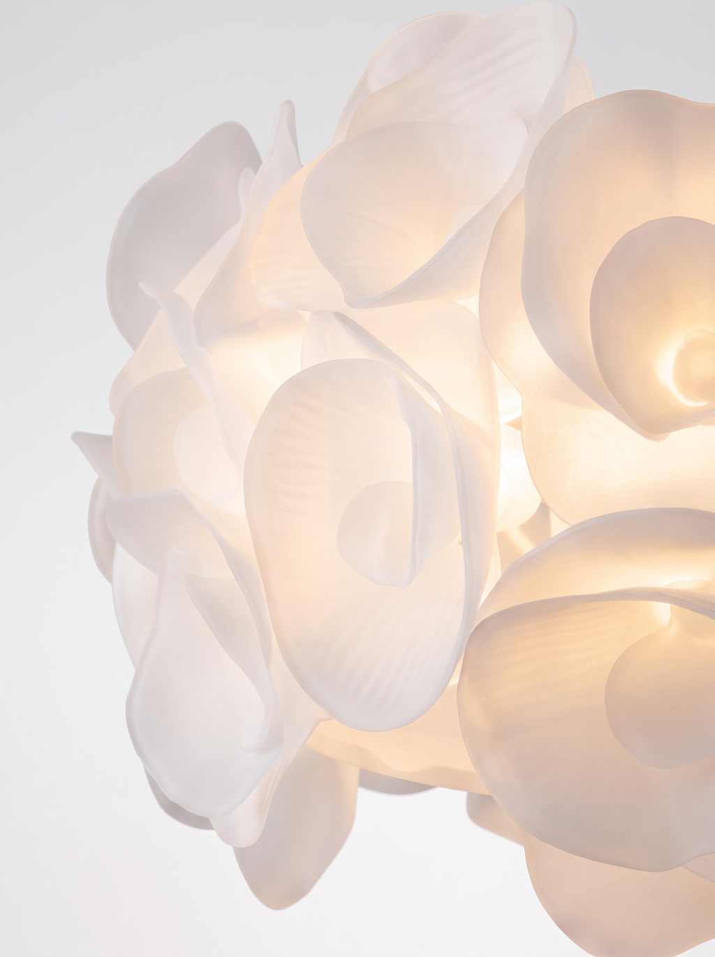 Suspension florale